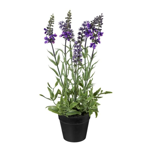 Lavendel Topfblume mit 7 Blüten ca. 30cm Dauerfloristik