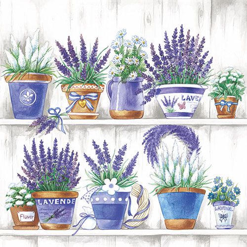 Serviette Lavender Range 20er Pack ambiente Cocktail 24 x 24 cm bei Tischdeko-Shop.de